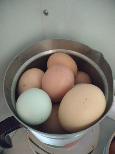 Imagem 2 de 4 de Vendo Ovos De Galinha Índio Gigante