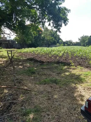 Terreno en venta
