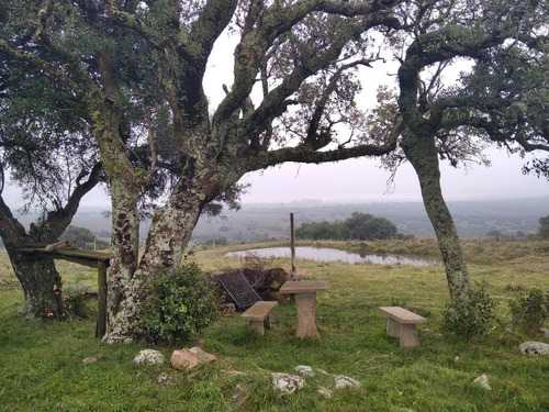 Imagen 14 de 24 de Chacra - Zona Aiguá. A Pocos Km Del Cerro Catedral
