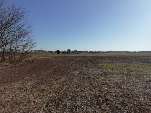 Imagen 6 de 8 de Campo En Venta - Alvear - Ideal Emprendimiento Inmobiliario U Otro