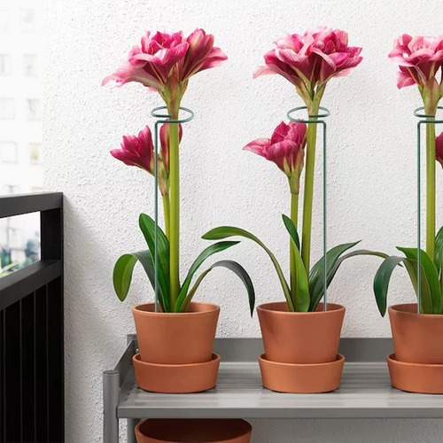 40cm Estacas De Apoyo Para Plantas Palo De Soporte De Flores