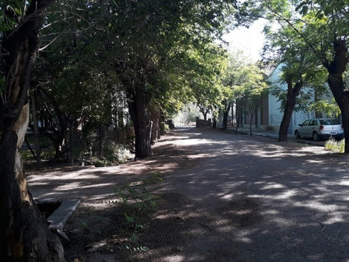 Vendo Bodega Con Viñedos Y Elaboración Propia