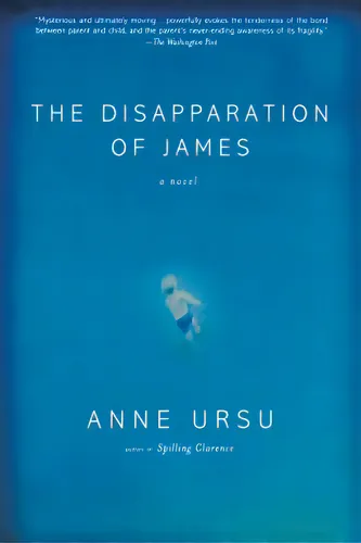 comprar The Disapparation Of James, De Ursu, Anne. Editorial Hyperion, Tapa Blanda En Inglés