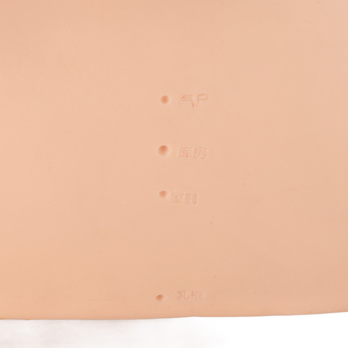 Cabeza De Maniquí De Acupuntura, Calva, Cosmetología, Silico
