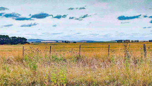 Imagen 26 de 26 de Venta Casa De Te - Vela - Tandil