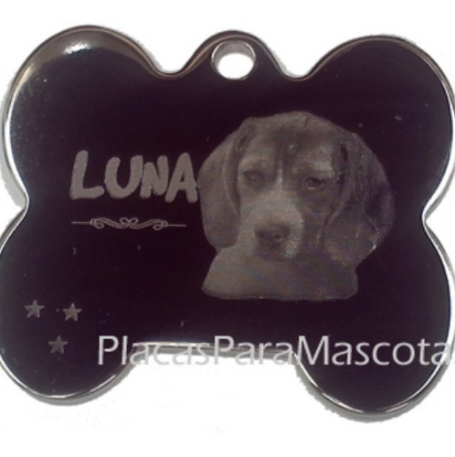 Placa De Lujo Con Foto Mascota, Perros, Cachorros Brilante