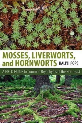 Mosses, Liverworts, And Hornworts : A Field Guide To The ...