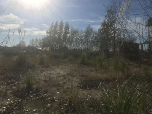 Imagen 5 de 5 de Terreno - Villa Paranacito