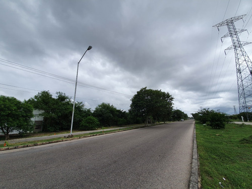 Imagen 5 de 11 de Terrenos En Venta Sobre Avenida En Calle 70 De Caucel