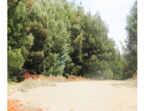 Venta Terreno Carriel Sur