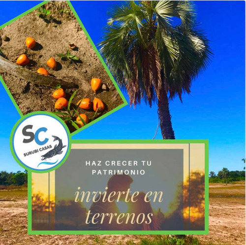 Terrenos Goya - Mercedes Cossio