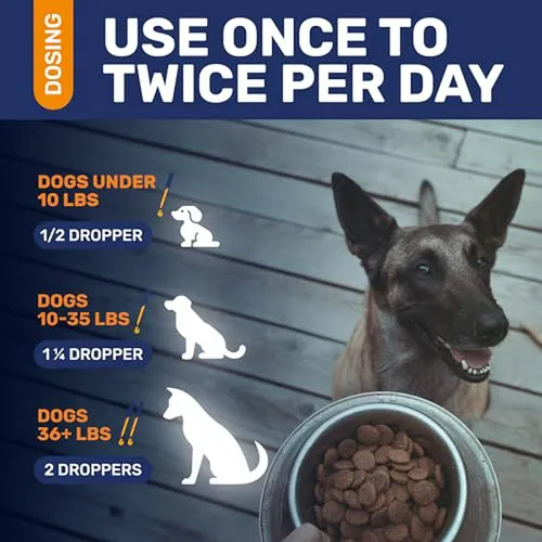 Antibiótico Para Perros Con Sabor A Carne 2 Oz