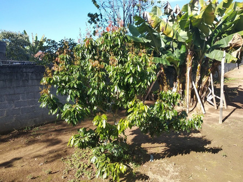 Imagem 5 de 6 de Casa Com Dois Comodos E Banheiro