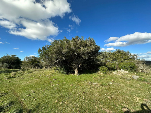 Imagen 13 de 16 de Campo En Venta (ref: Bpv-9121)