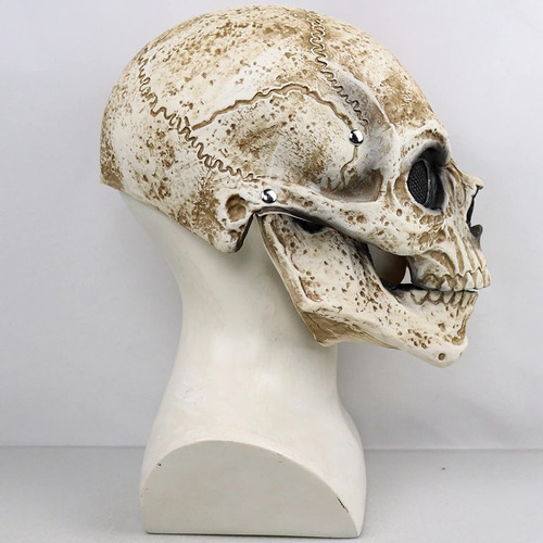 Máscara De Esqueleto De Cabeza Completa Humana Halloween
