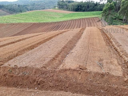 Imagem 12 de 15 de Cód 4204- Excelente Terreno Em Ibiúna. - 4204