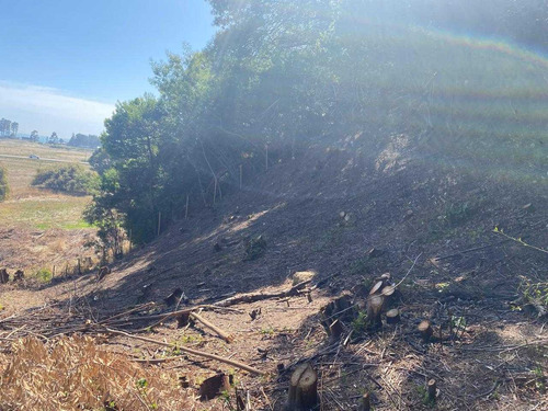 Parcela En Arauco A Pasos De Extensa Playa (92707)