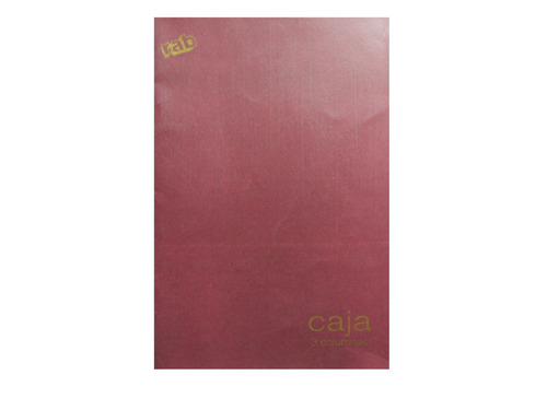 Libro Contable Caja Rab 3 Columnas Tapa Flexible Oficio