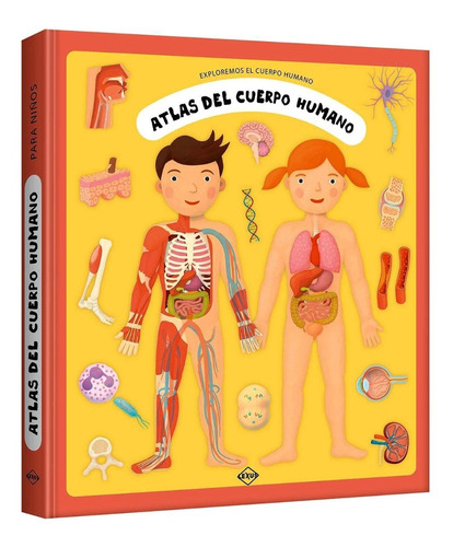 Libro Atlas De Cuerpo Humano Para Niños