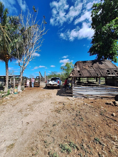 Rancho En Venta Con Cenotes En Excelente Zona Ganadera Del Estado De Yucatán