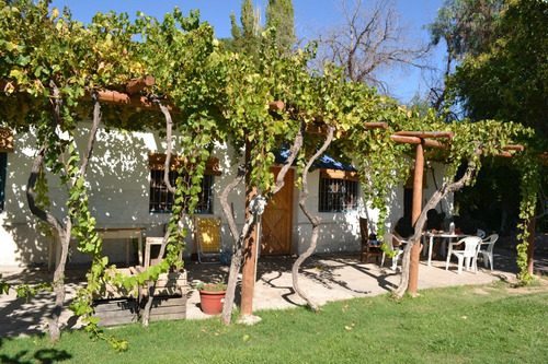 Imagen 6 de 17 de Venta | Quinta - Campo - Finca 12.5 Ha - San Rafael - Mendoza | 2 Casas