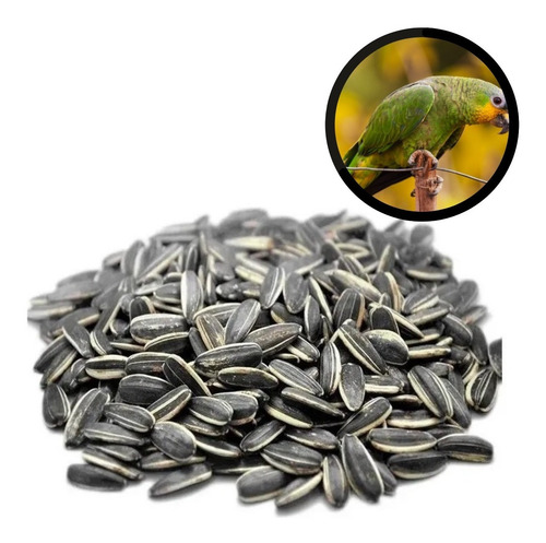 Imagem 3 de 6 de Sementes De Girassol Graúdo Pássaro Aves Marpa- 250g