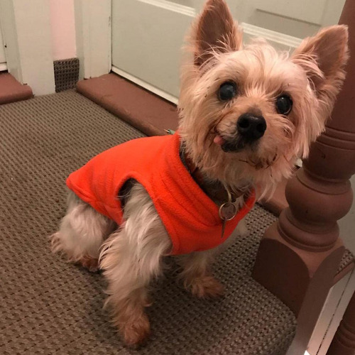 Chaqueta De Forro Polar Con Anillo Suéter Perros Pequeños