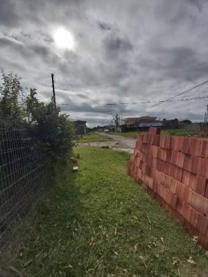 Imagem 12 de 14 de Terreno No Jardim Regina, Em Itanhaém,