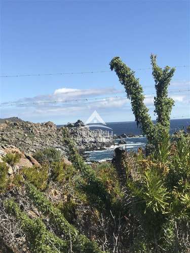 Venta Sitio En Arrayan Costero, La Serena