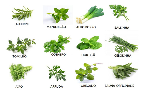 190 Sementes De Tempero Alecrim,salsa,cebolinha,arruda