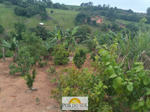 Imagem 6 de 10 de Chácara Em Pedra Bela/sp - 0211
