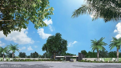 Terreno En Oportunidad Venta Carretera Merida Progreso