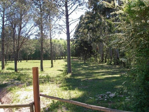 Imagen 4 de 6 de Chacra En Camino Lussich, Punta Ballena