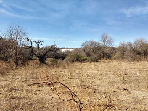 Imagen 7 de 17 de Campo De 100 Hectareas Con Casa En Tulumba, Provincia De Cordoba