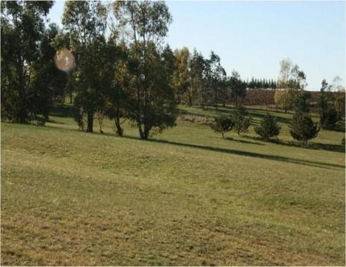 Quinta En Venta En Jose Ignacio