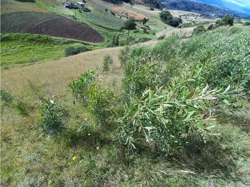 Venta De Lote Chivatá