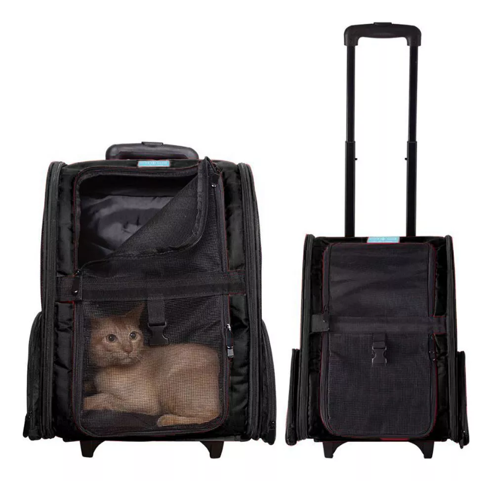 Terceira imagem para pesquisa de mochila transporte gato