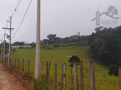 Imagem 3 de 4 de Cód - 5972 - Terreno Em Piedade !! - 5972