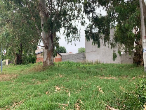 Imagen 3 de 6 de Venta Lote Mdq Geronimo Rejon Los Pinares Mar Del Plata