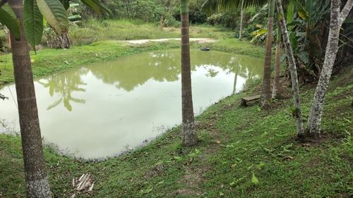 Imagem 3 de 7 de Vende-se Sítio Em Paranaguá-pr