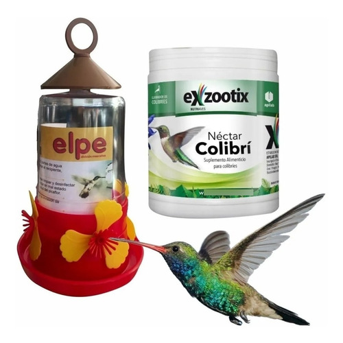 Imagen 4 de 9 de Alimento Nectar Picaflor Colibri Exzootix + Bebedero Kit