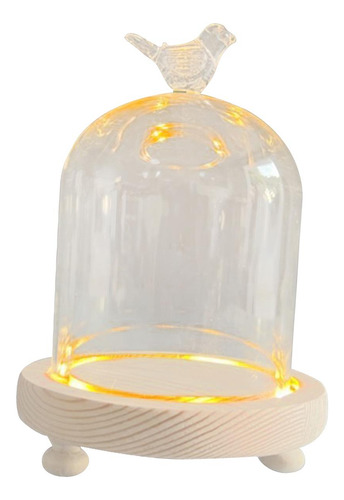 Cristal Transparente Cloche Dome Showcase 9x11cm Pájaro