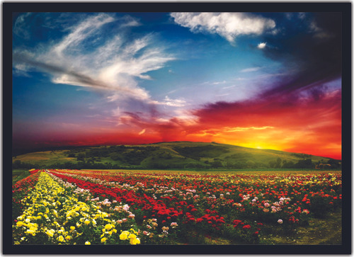 Quadro Campo Flores Jardim Natureza Paisagens Com Moldura