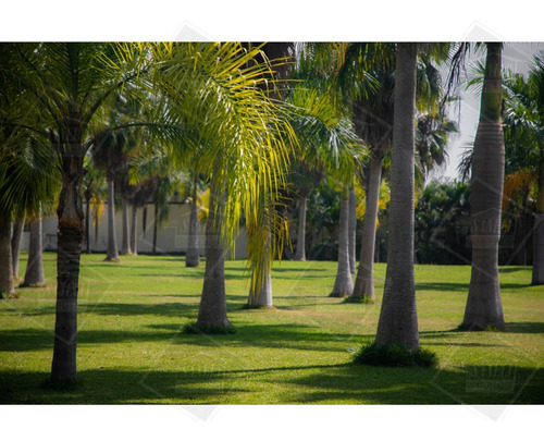 Hermosa Quinta En Venta En Yautepec Morelos