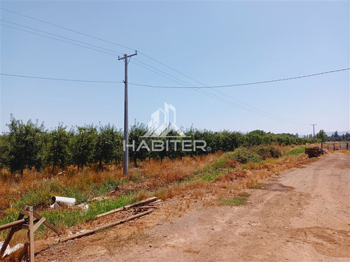 Imagen 10 de 30 de Agrícola En Venta En Curicó