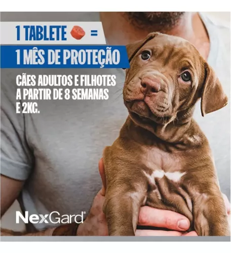 Nexgard Cães De 10,1 A 25kg 3 Tablet Antipulgas Carrapatos