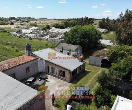 Chacra En Venta 6 Has, Casa 3 Dormitorios, Galpón, Aguadas Canelón Chico