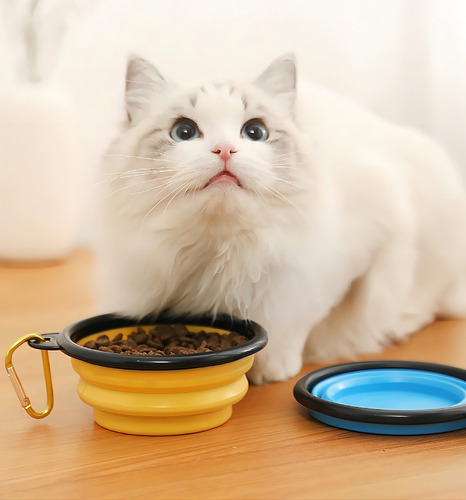 Plato De Goma Plegable Portátil De Mascotas Perro Y Gato Color Azul