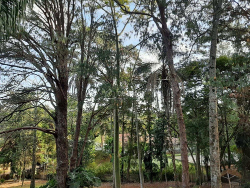 Imagem 6 de 10 de Terreno À Venda Em Sítios De Recreio Gramado - Te009722