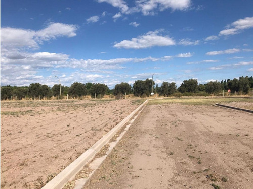 Loteo En Venta San Rafael Mendoza- Las Paredes